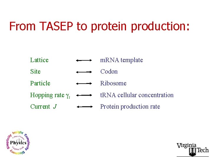 From TASEP to protein production: Lattice m. RNA template Site Codon Particle Ribosome Hopping
