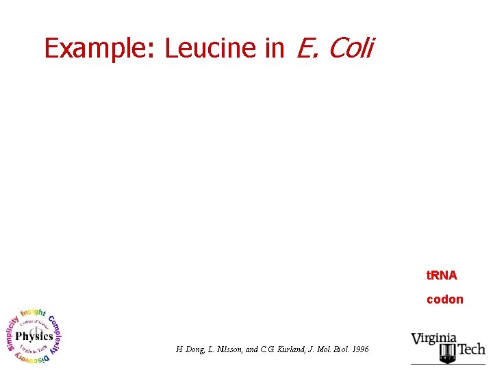 Example: Leucine in E. Coli t. RNA codon H. Dong, L. Nilsson, and C.