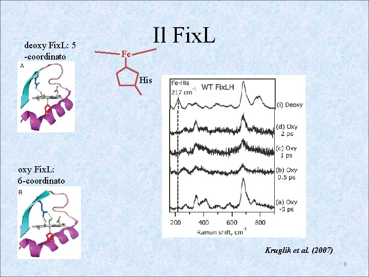 deoxy Fix. L: 5 -coordinato Il Fix. L Fe His oxy Fix. L: 6