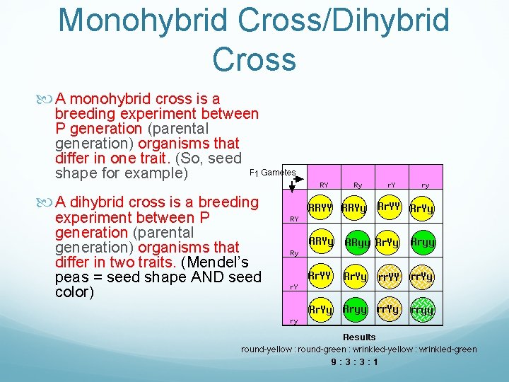 Monohybrid Cross/Dihybrid Cross A monohybrid cross is a breeding experiment between P generation (parental