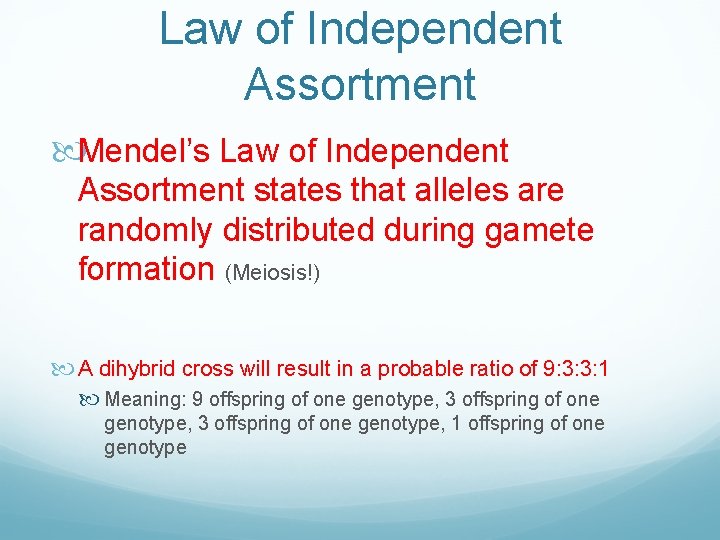 Law of Independent Assortment Mendel’s Law of Independent Assortment states that alleles are randomly