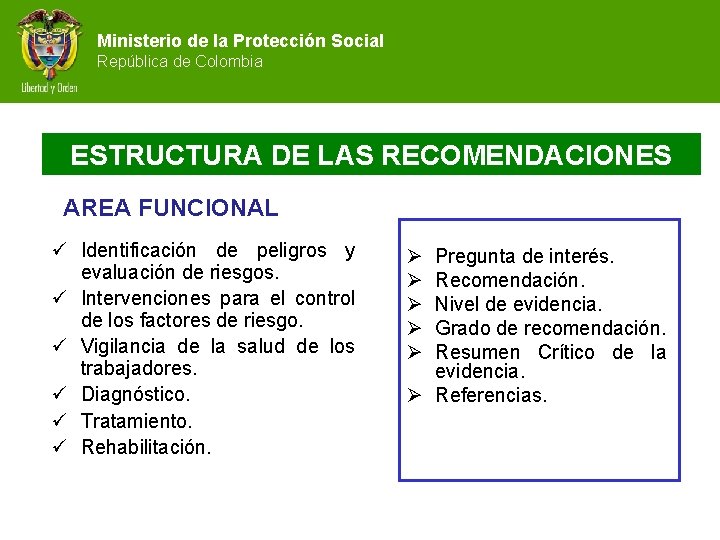 Ministerio de la Protección Social República de Colombia ESTRUCTURA DE LAS RECOMENDACIONES AREA FUNCIONAL