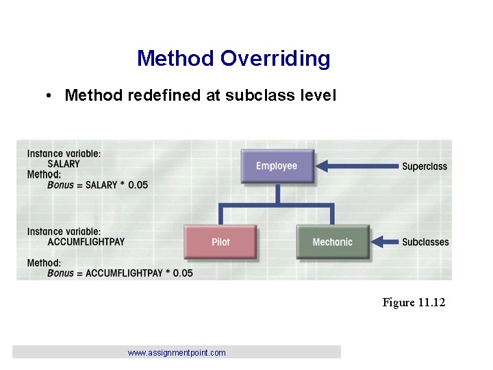 Method Overriding • Method redefined at subclass level Figure 11. 12 www. assignmentpoint. com