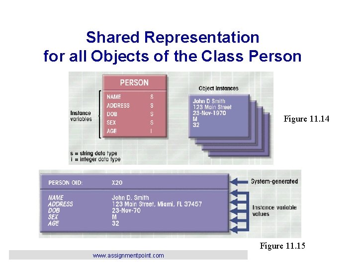 Shared Representation for all Objects of the Class Person Figure 11. 14 Figure 11.