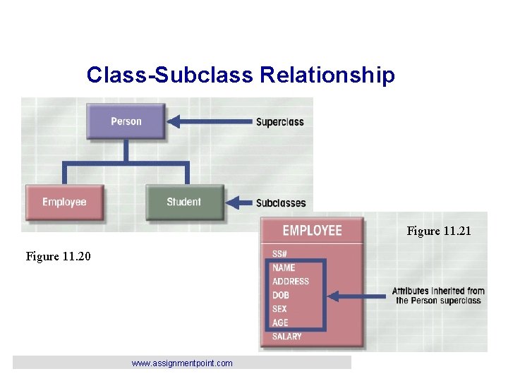 Class-Subclass Relationship Figure 11. 21 Figure 11. 20 www. assignmentpoint. com 