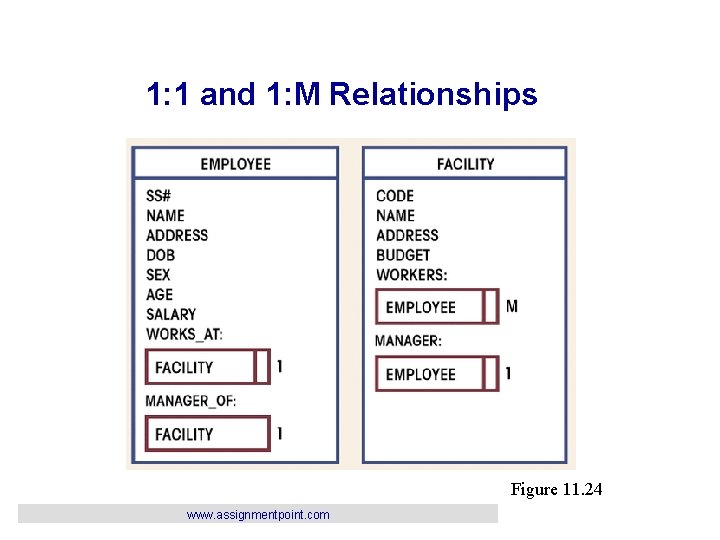 1: 1 and 1: M Relationships Figure 11. 24 www. assignmentpoint. com 