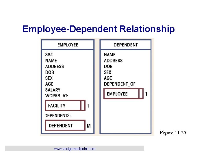 Employee-Dependent Relationship Figure 11. 25 www. assignmentpoint. com 