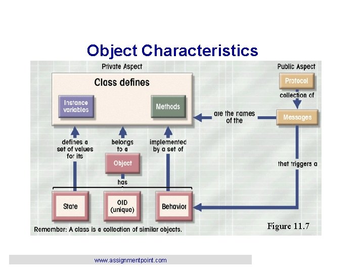 Object Characteristics Figure 11. 7 www. assignmentpoint. com 