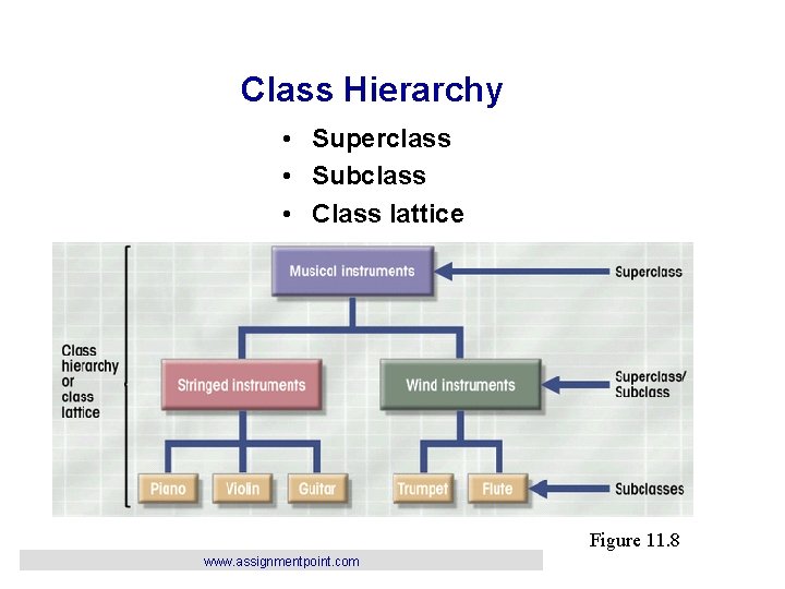 Class Hierarchy • Superclass • Subclass • Class lattice Figure 11. 8 www. assignmentpoint.