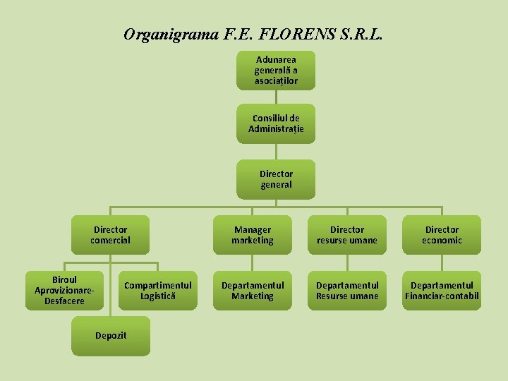 Organigrama F. E. FLORENS S. R. L. Adunarea generală a asociaților Consiliul de Administrație Organigrama F. E. FLORENS S. R. L. Adunarea generală a asociaților Consiliul de Administrație