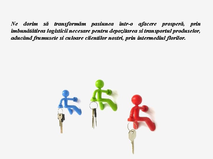 Ne dorim să transformăm pasiunea într-o afacere prosperă, prin îmbunătătirea logisticii necesare pentru depozitarea Ne dorim să transformăm pasiunea într-o afacere prosperă, prin îmbunătătirea logisticii necesare pentru depozitarea
