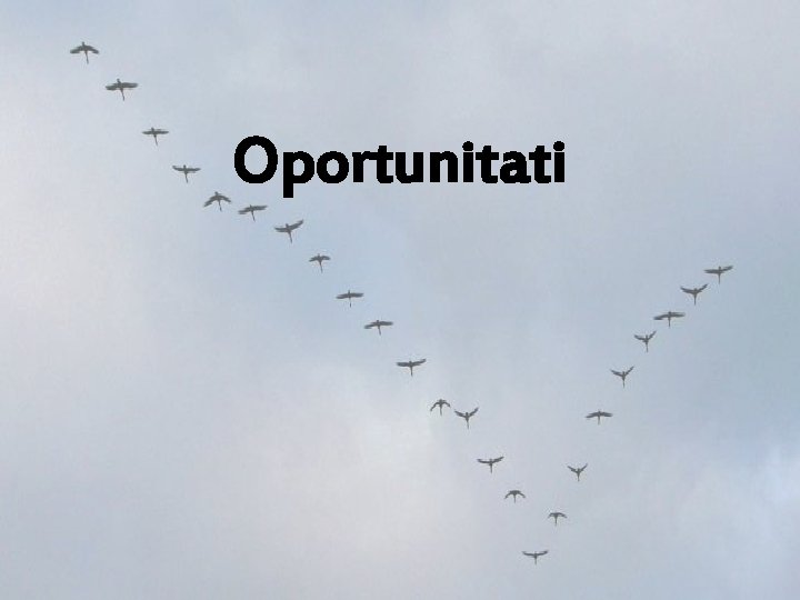 Oportunitati 