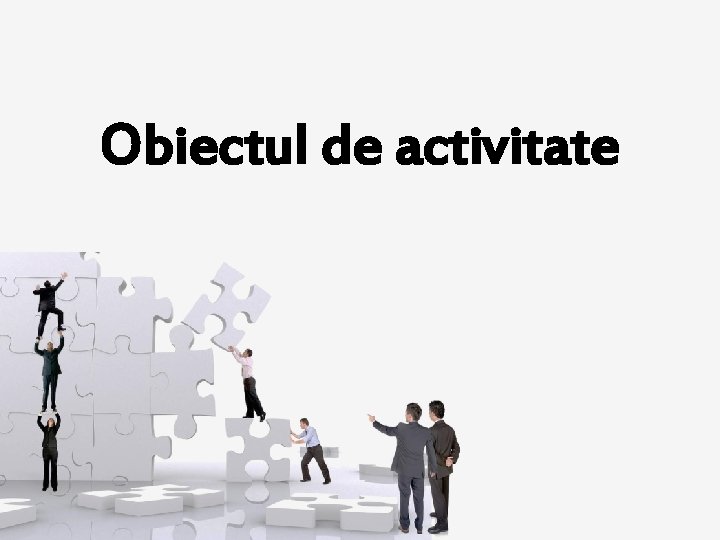 Obiectul de activitate 