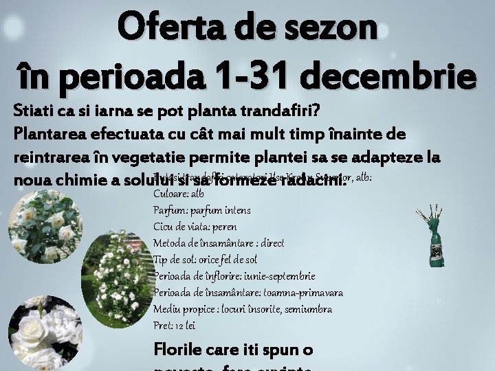 Oferta de sezon în perioada 1 -31 decembrie Stiati ca si iarna se pot