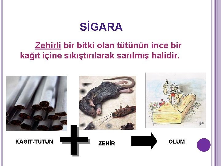 SİGARA Zehirli bir bitki olan tütünün ince bir kağıt içine sıkıştırılarak sarılmış halidir. KAĞIT-TÜTÜN