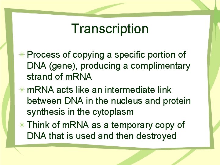 Transcription Process of copying a specific portion of DNA (gene), producing a complimentary strand