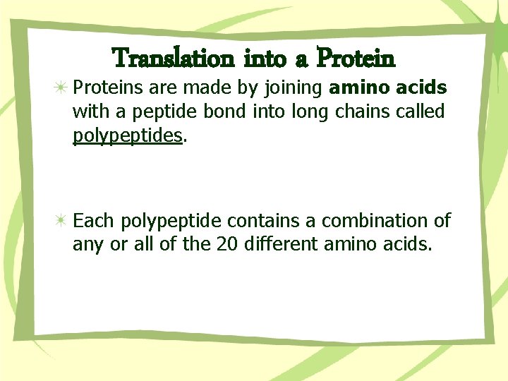 Translation into a Proteins are made by joining amino acids with a peptide bond