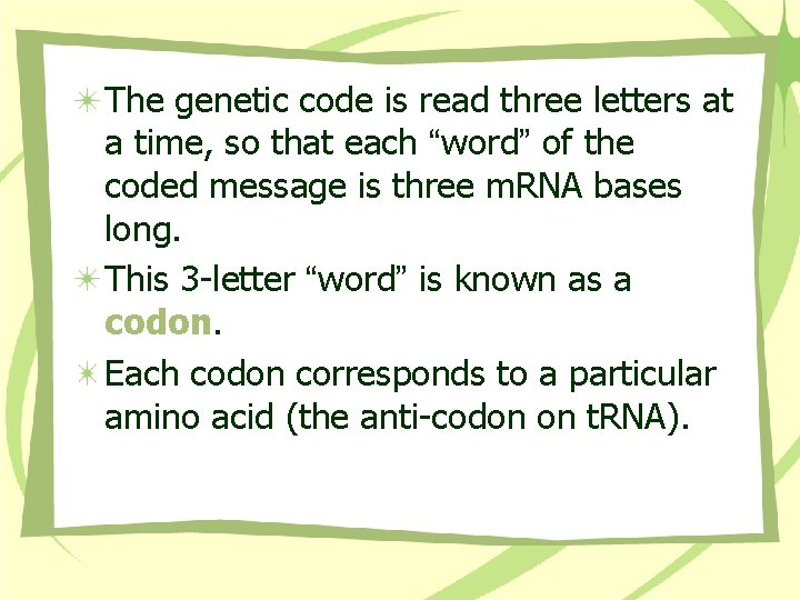 The genetic code is read three letters at a time, so that each “word”