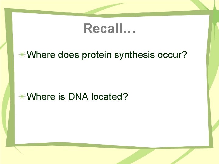 Recall… Where does protein synthesis occur? Where is DNA located? 