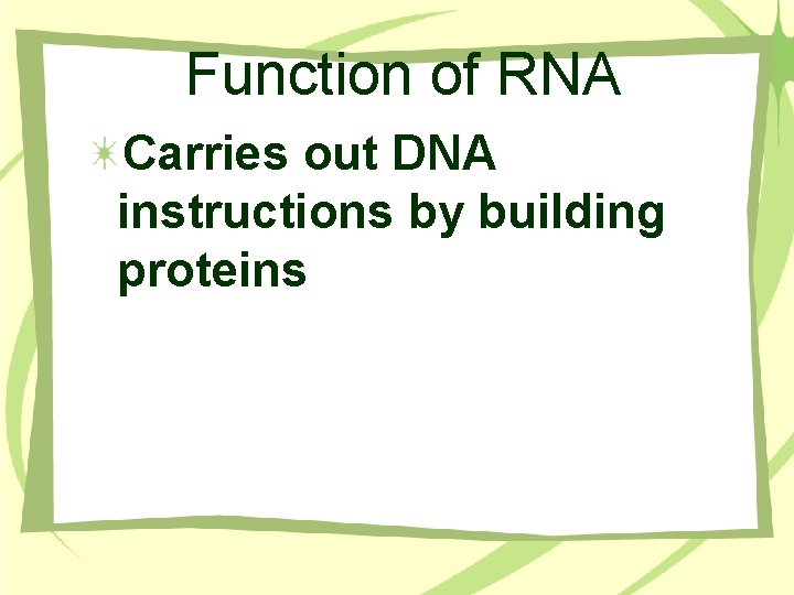 Function of RNA Carries out DNA instructions by building proteins 