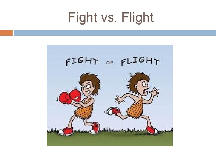 Fight vs. Flight 