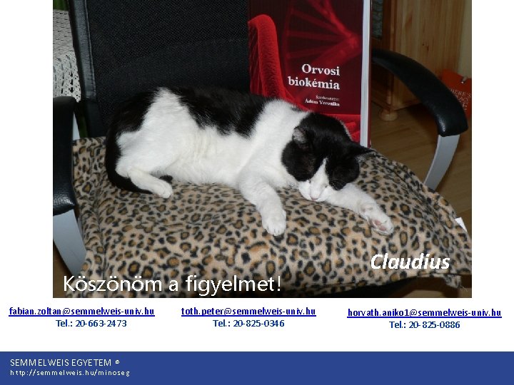 Köszönöm a figyelmet! fabian. zoltan@semmelweis-univ. hu Tel. : 20 -663 -2473 SEMMELWEIS EGYETEM ©