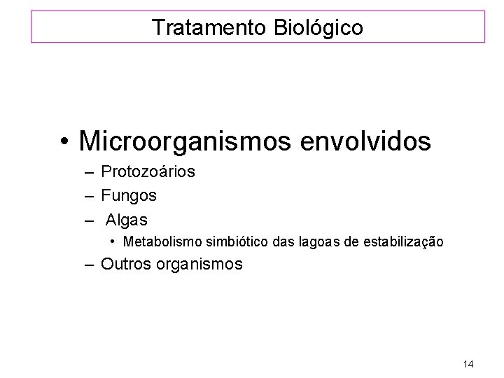 Tratamento Biológico • Microorganismos envolvidos – Protozoários – Fungos – Algas • Metabolismo simbiótico