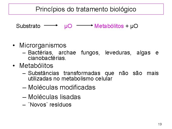 Princípios do tratamento biológico Substrato µO Metabólitos + µO • Microrganismos – Bactérias, archae