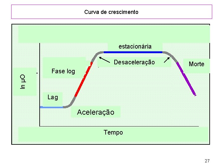 Curva de crescimento estacionária ln µO Desaceleração Morte Fase log Lag Aceleração Tempo 27
