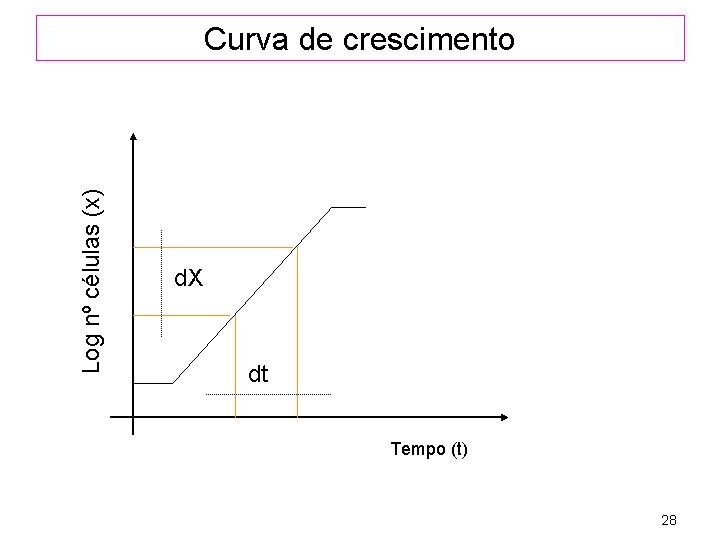 Log nº células (x) Curva de crescimento d. X dt Tempo (t) 28 