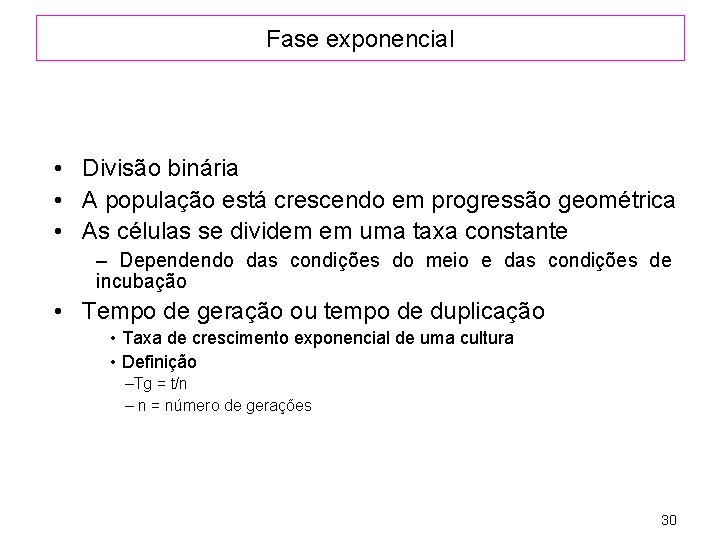 Fase exponencial • Divisão binária • A população está crescendo em progressão geométrica •
