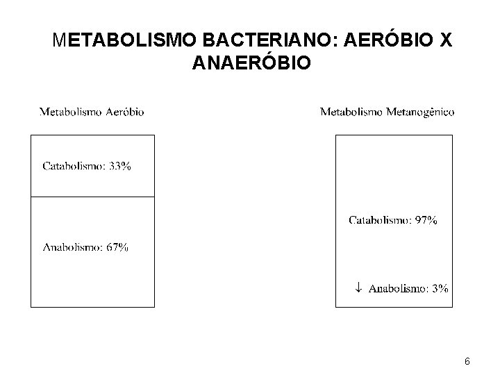 METABOLISMO BACTERIANO: AERÓBIO X ANAERÓBIO 6 