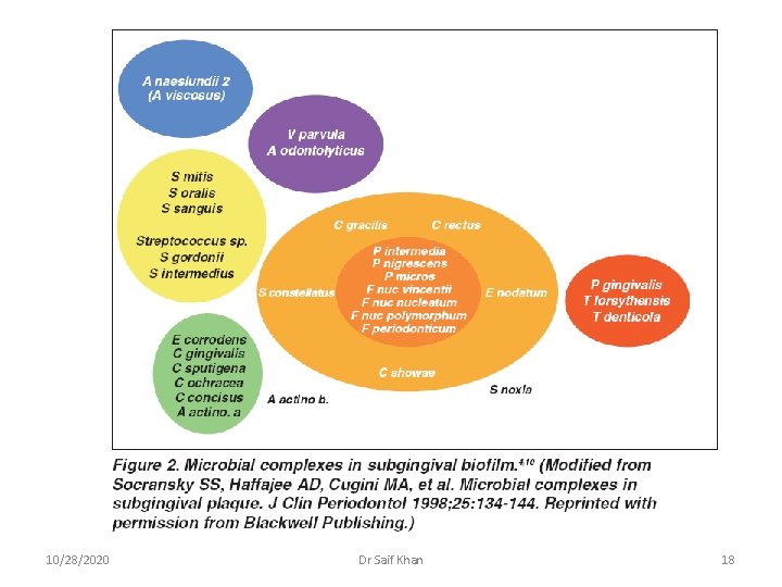 10/28/2020 Dr Saif Khan 18 
