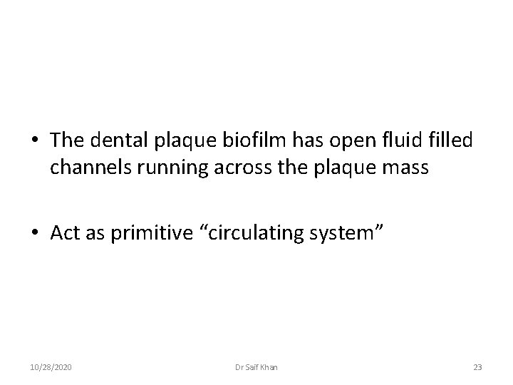  • The dental plaque biofilm has open fluid filled channels running across the