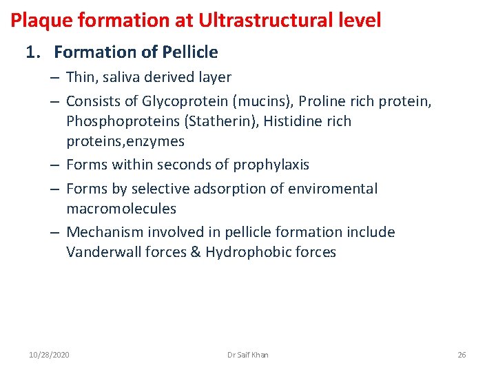 Plaque formation at Ultrastructural level 1. Formation of Pellicle – Thin, saliva derived layer