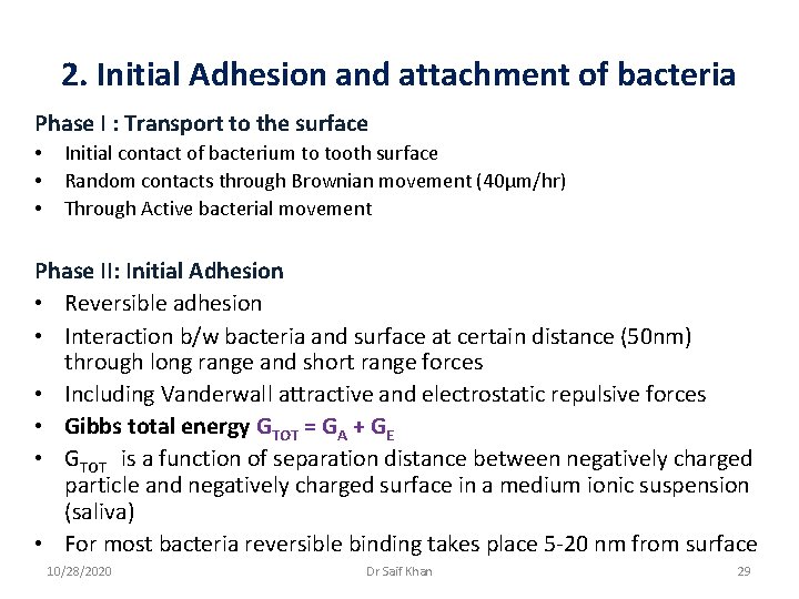 2. Initial Adhesion and attachment of bacteria Phase I : Transport to the surface