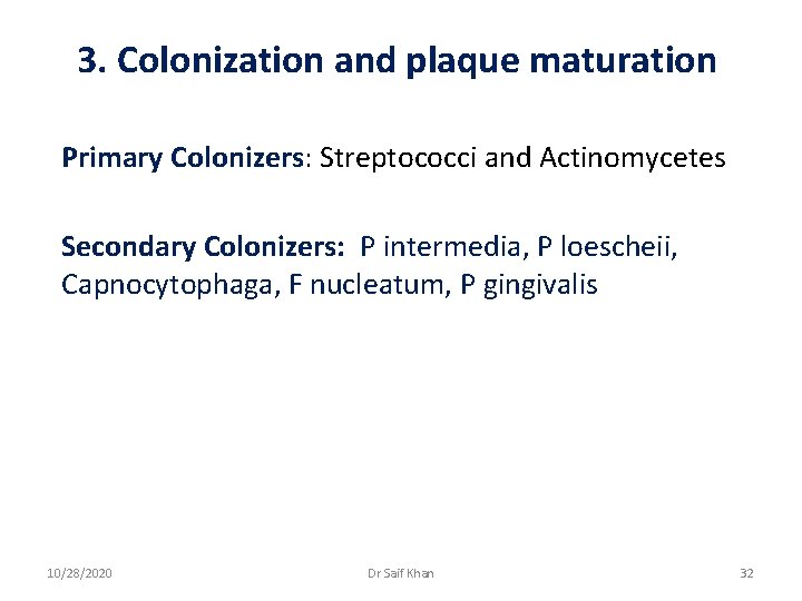 3. Colonization and plaque maturation Primary Colonizers: Streptococci and Actinomycetes Secondary Colonizers: P intermedia,