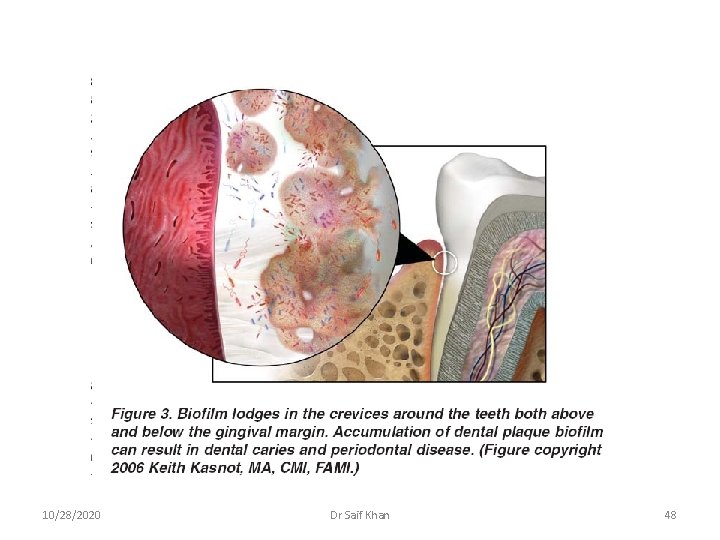 10/28/2020 Dr Saif Khan 48 