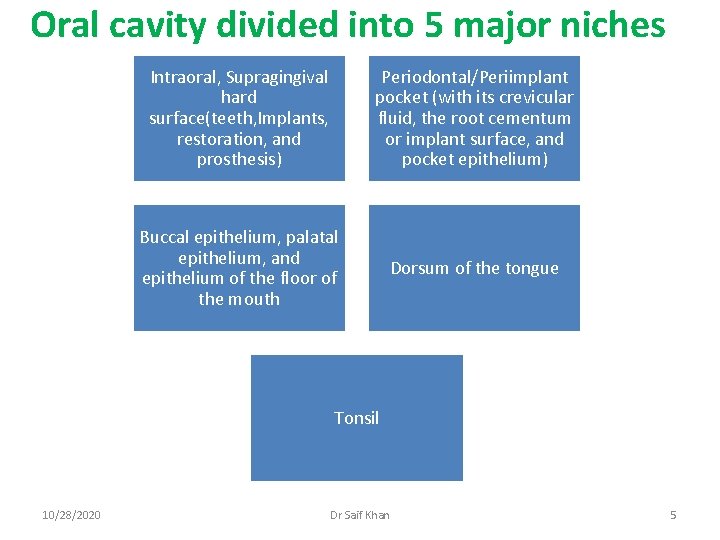 Oral cavity divided into 5 major niches Intraoral, Supragingival hard surface(teeth, Implants, restoration, and