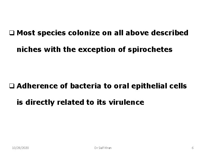 q Most species colonize on all above described niches with the exception of spirochetes