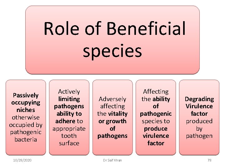  Role of Beneficial species Passively occupying niches otherwise occupied by pathogenic bacteria 10/28/2020