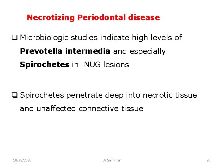 Necrotizing Periodontal disease q Microbiologic studies indicate high levels of Prevotella intermedia and especially