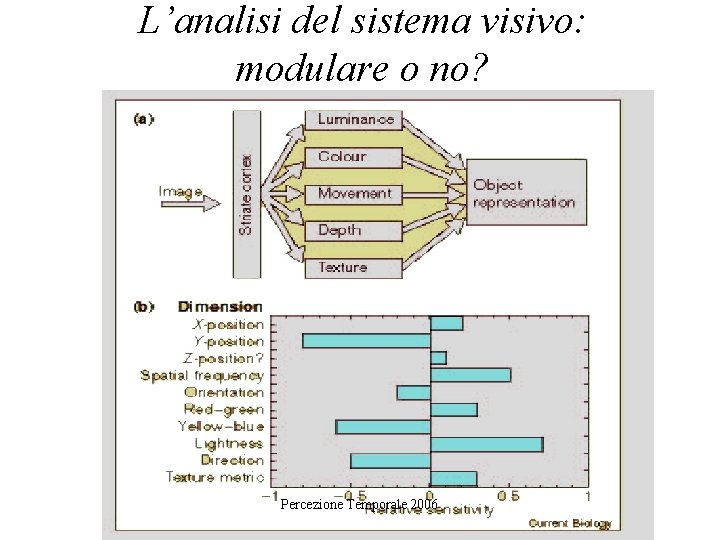 L’analisi del sistema visivo: modulare o no? Percezione Temporale 2006 