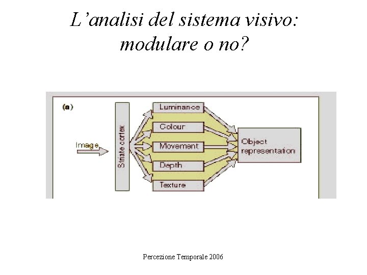 L’analisi del sistema visivo: modulare o no? Percezione Temporale 2006 