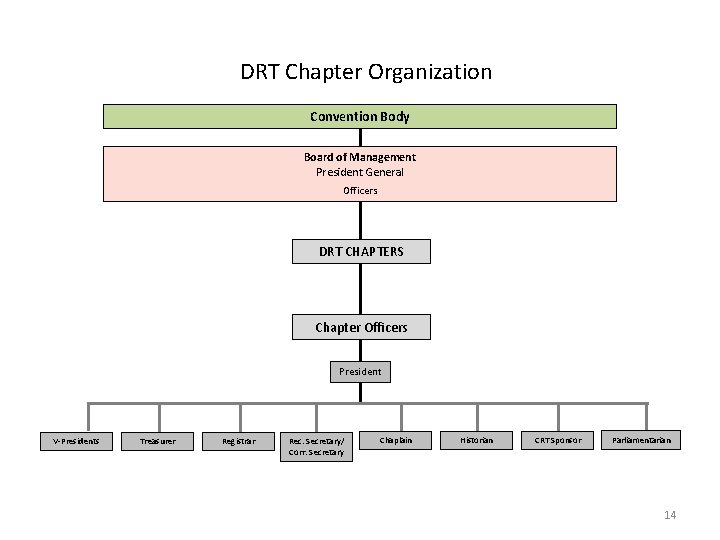 DRT Chapter Organization Convention Body Board of Management President General Officers DRT CHAPTERS Chapter