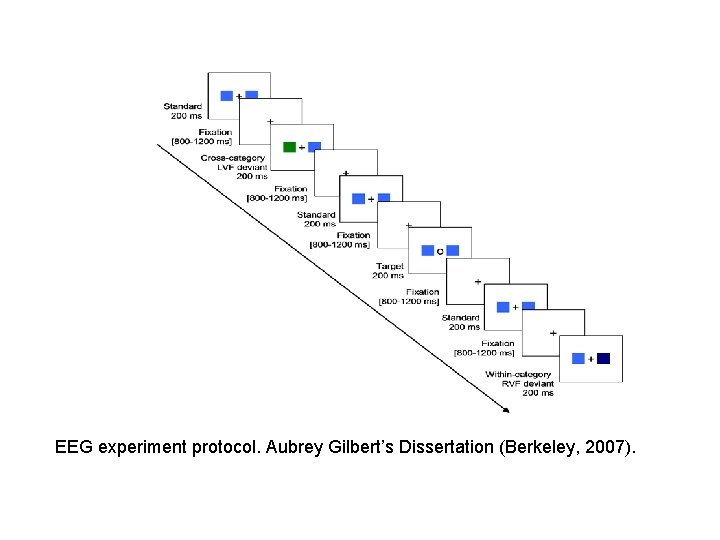 EEG experiment protocol. Aubrey Gilbert’s Dissertation (Berkeley, 2007). 