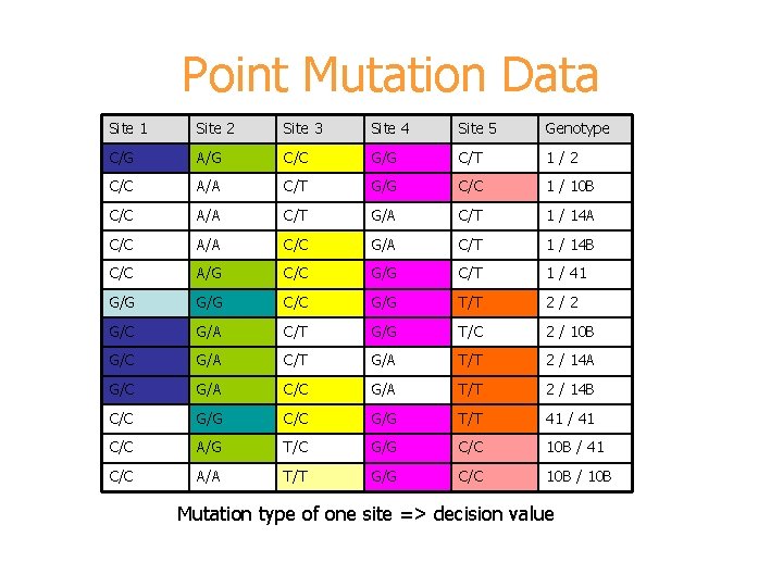 Point Mutation Data Site 1 Site 2 Site 3 Site 4 Site 5 Genotype