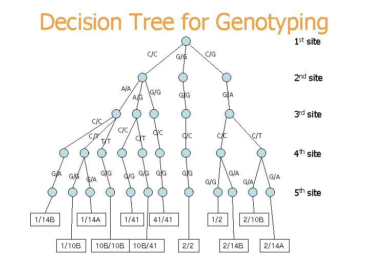 Decision Tree for Genotyping 1 st site C/C G/G C/G 2 nd site A/A