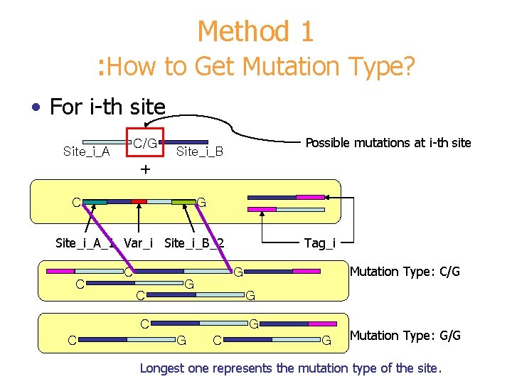 Method 1 : How to Get Mutation Type? • For i-th site Site_i_A C/G