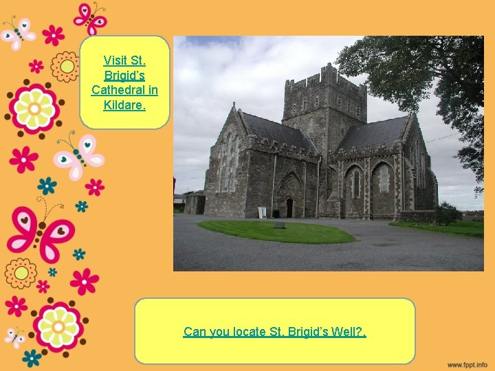 Visit St. Brigid’s Cathedral in Kildare. Can you locate St. Brigid’s Well? . 